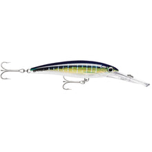Rapala X-Rap® Magnum® 15 Sailfish UV