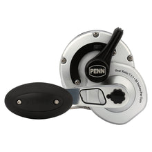 PENN Fathom® II Lever Drag Single Speed 40NLDHS Conventional Reel FTHII40NLDHS