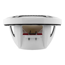DS18 HYDRO 10" 2-Way Speakers w/Bullet Tweeter & Integrated RGB LED Lights - White