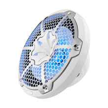 DS18 HYDRO 10" 2-Way Speakers w/Bullet Tweeter & Integrated RGB LED Lights - White