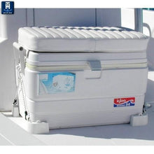 T-H Marine CMK1DP Beverage Cooler Tie Down Kit