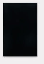 Dometic 106863305C Refrigerator Door Panel