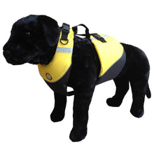 First Watch AK-1000 Dog Vest - XS