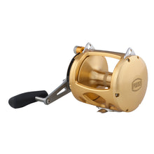 PENN 80 VISW INT80VISW 2-Speed Conventional Reel - Gold