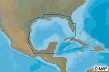 C-MAP NA-Y064 Max N+ microSD Gulf of Mexico