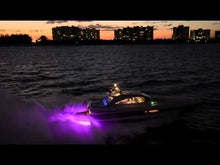 OceanLED X-Series X8 - Colours LEDs