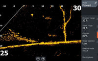 Lowrance ActiveTarget&reg; 2 Module Only