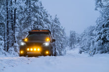 RIGID Industries D-SS Spot w/Amber Pro Lens - Pair