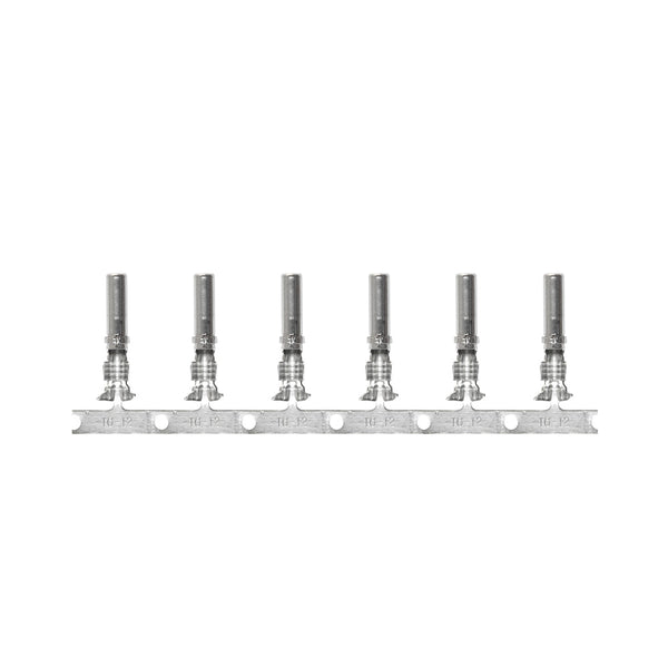 Pacer DTP Deutsch Socket f/10 AWG Wire - Size 12 Contact (25 Pack)