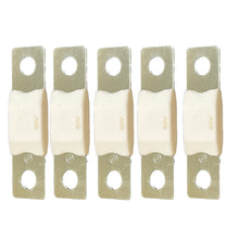 Victron MEGA Fuse 100A/80V (Package of 5 Pieces)