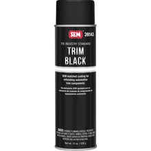 SEM Trim Black - 20oz Aerosol Can