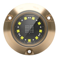 Lumishore ECLIPSE SMX24 Single Light Surface Mount Underwater Light - Blue/White