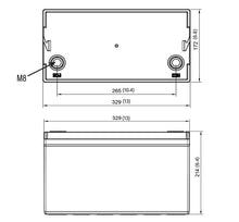 Relion Battery RB100LT Battery