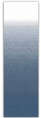 Dometic 14989NT421 Awning Fabric