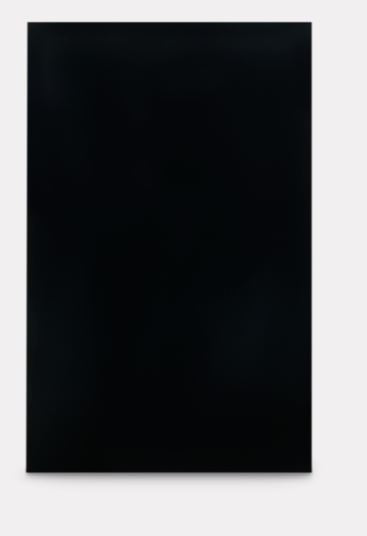 Dometic 106863305C Refrigerator Door Panel