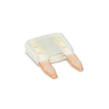 Dometic 90145 Fuse