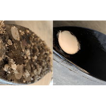 FoulFree FF15K - Foulfree Transducer Coating