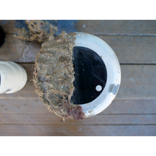 FoulFree FF15K - Foulfree Transducer Coating