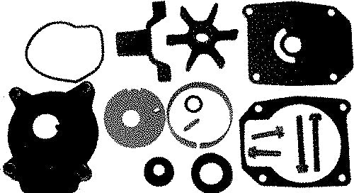 Sierra 18-3378 391635 Johnson/Evinrude Water Pump