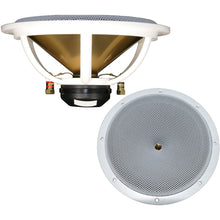 DC GOLD AUDIO N9.5R 9.5&quot; Reference Series Speaker - 4 OHM - (Pair) White
