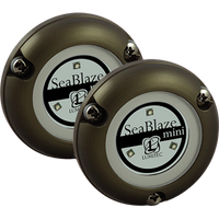 Lumitec SeaBlaze Mini Underwater Light - Pair - Brushed Finish - White Non-Dimming