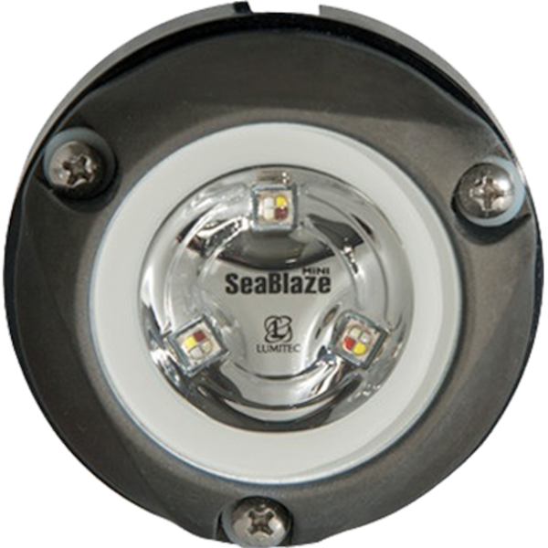 Lumitec Zambezi Mini Surface Mount Underwater Light - White - Non-Dimming