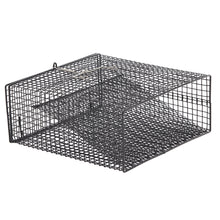 Frabill Crawfish Flat Bottom Square Trap - 12&quot; x 12&quot; x 5&quot;