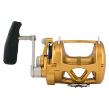 PENN 50 VIW INT50VIW 3.5 Wide Cast Reel