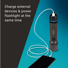 Coleman OneSource 600 Lumens LED Flashlight &amp; Rechargeable Lithium Ion Battery