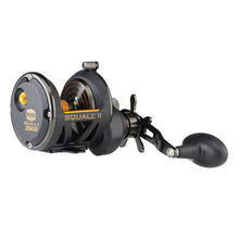 PENN Squall II Star Drag Conventional Reel - SQLII25NSDLH