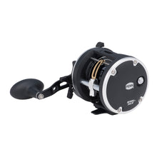 PENN RIV30LWCP Rival 30 Level Wind Reel
