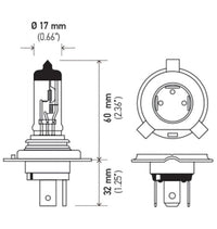 Hella 9003 H4 HB2 Halogen Bulb 24V 100/90W Single