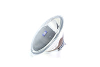 Hella Rallye 4000 Pencil Beam Lens/Reflector 148114011