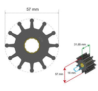 Albin 06-01-037 Neoprene Raw-Water Pump Impeller
