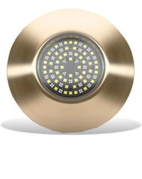 Lumishore TIX1604 Underwater Light | Blue/White Dual