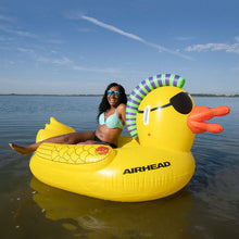 AIRHEAD Punk Duck | Large Inflatable Pool Float 
