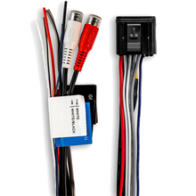 Apollo Zone Amplifier Wiring Loom