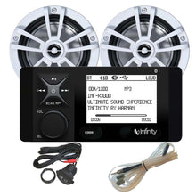 Infinity R3000 Wake Stereo Package