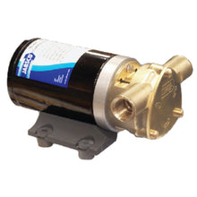 Jabsco Commercial Duty Water Puppy - 24v