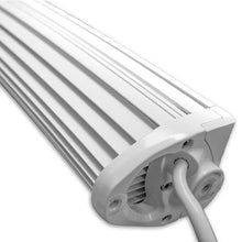 Marine Sport 50 Curved Light