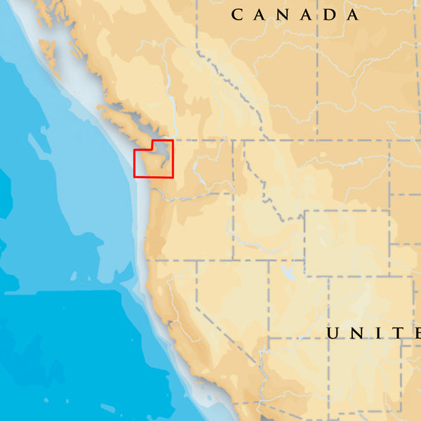 Navionics Platinum+ - Puget Sound - microSD™/SD™