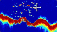 Raymarine CP370 Digital Sonar Module