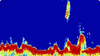 Raymarine CP370 Digital Sonar Module